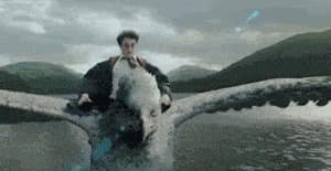 potterhead