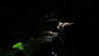 Vue d'un tunnel dans le noir où quasiment seuls un laser de visée de fusil et un champignon phosphorescent sont visibles.