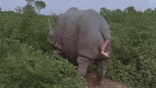 Extrait de la scène de Ace Ventura qui se débat intensément pour sortir du faux rhinoscéros dans lequel il est caché, par le petit orifice à l'arrière du leurre